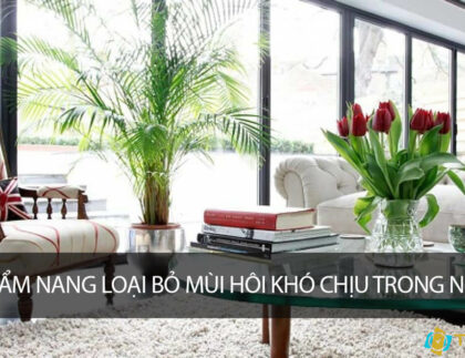 Cẩm nang loại bỏ mùi hôi khó chịu trong nhà