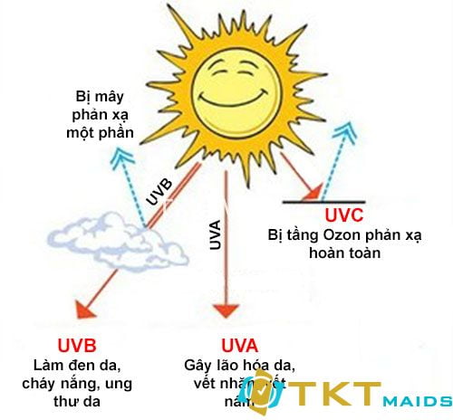 ảnh hưởng của tia UV đối với sức khỏe con người