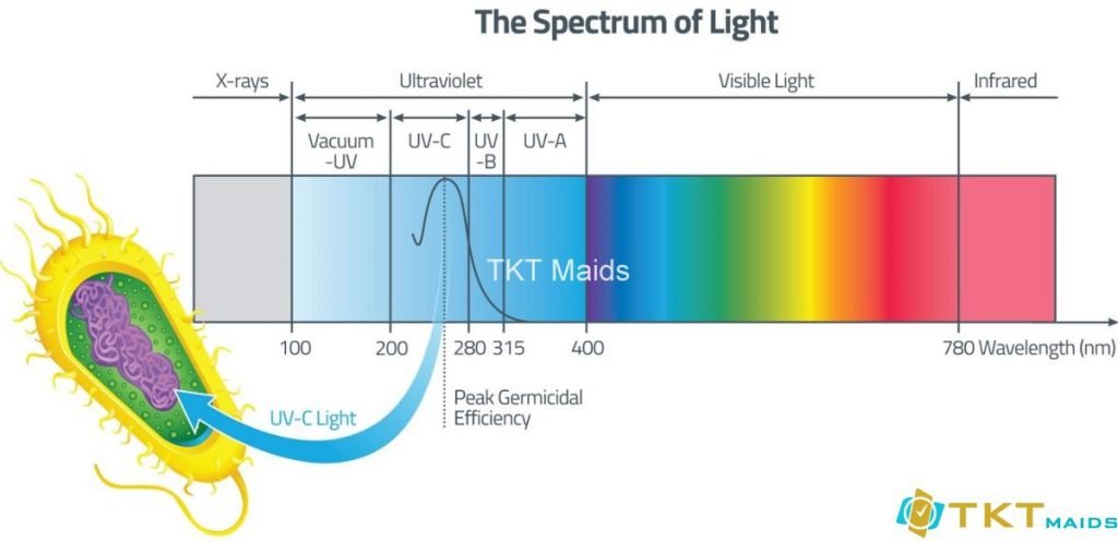 phổ tia UV