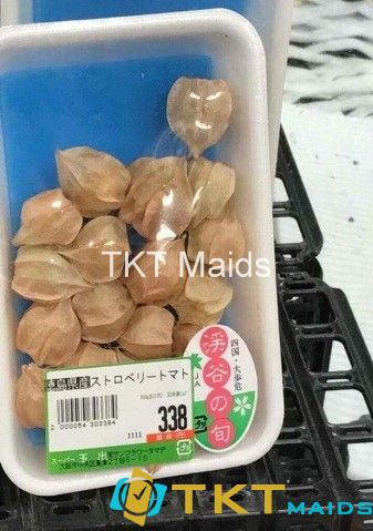 Tại Nhật Bản, quả tầm bóp được đóng khay bán trong các siêu thị, cửa hàng với giá vào khoảng 700 nghìn đồng/kg