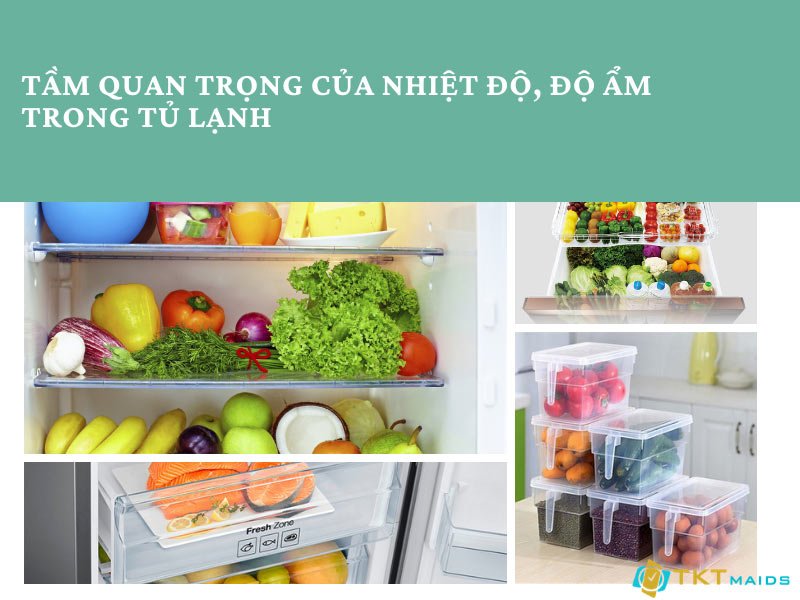 Nhiệt độ, độ ẩm ảnh hưởng như thế nào đến việc bảo quản thực phẩm bên trong tủ lạnh