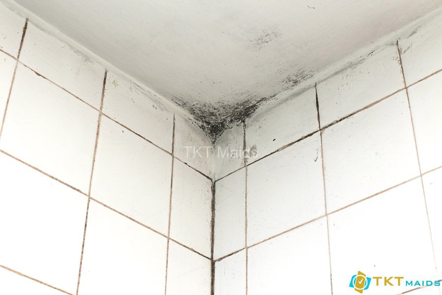 Nấm mốc xuất hiện trên trần nhà vệ sinh